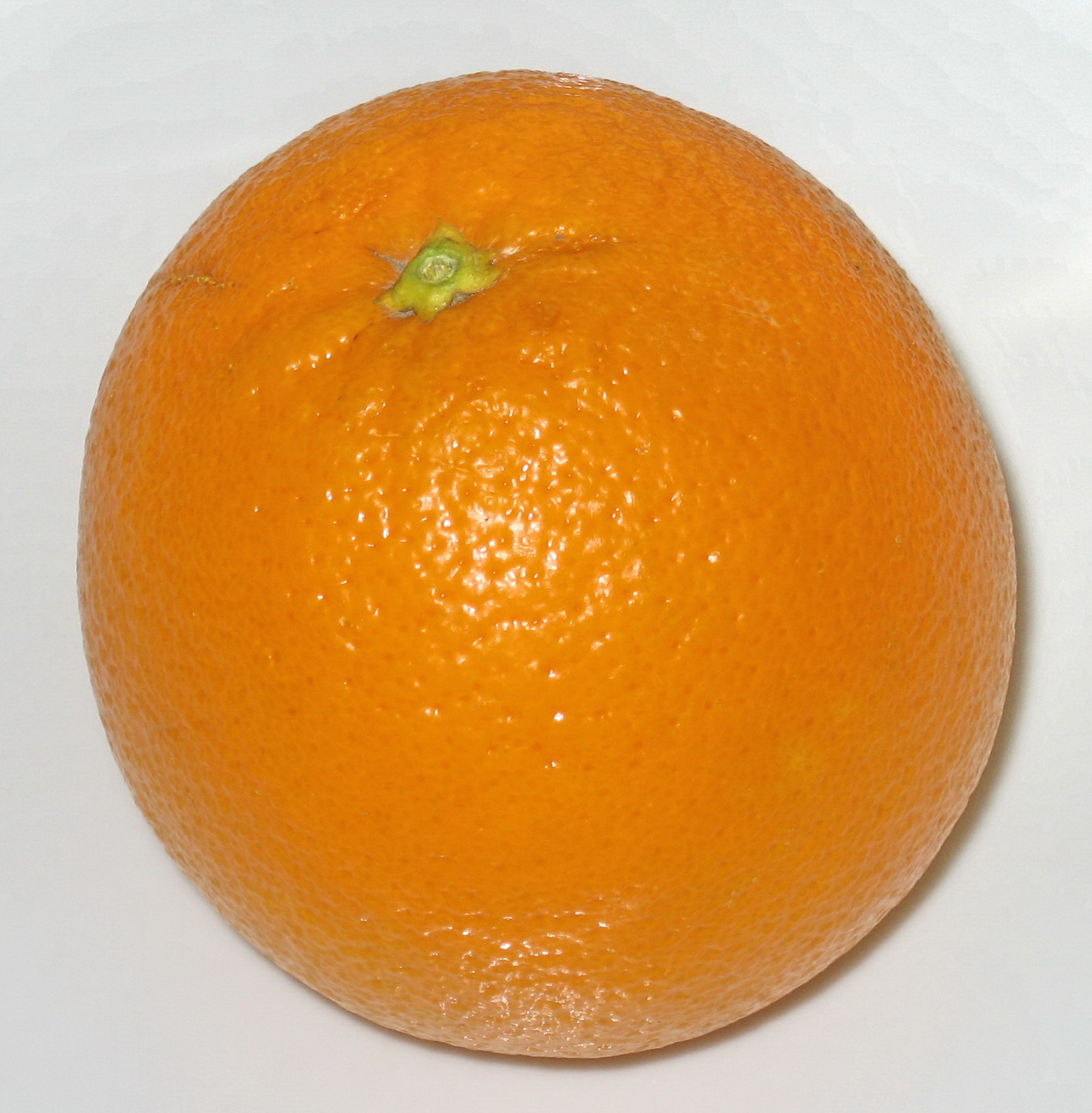 orangedetail_1036.jpg